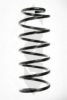 SPIDAN 49103 Coil Spring